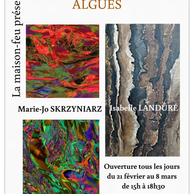 Extravagantes algues