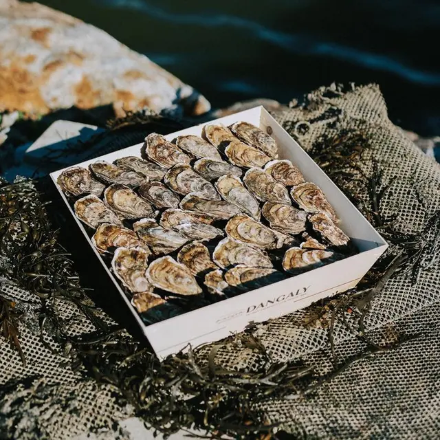 Ferme des Nielles magasin 3 - Cancale