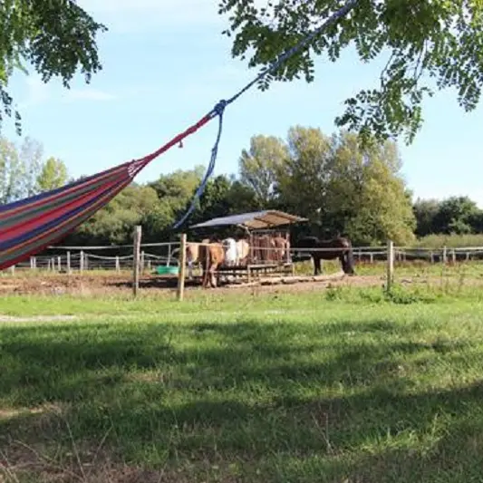 Ferme-equestre-d-Arwen