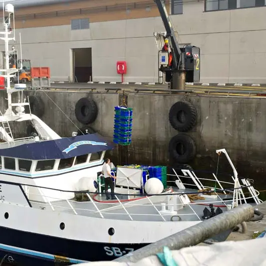 Galerie de Visite de la Criée de Roscoff