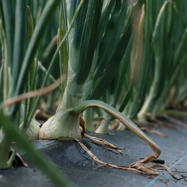 Ferme Graines de vie - Guégon - Morbihan