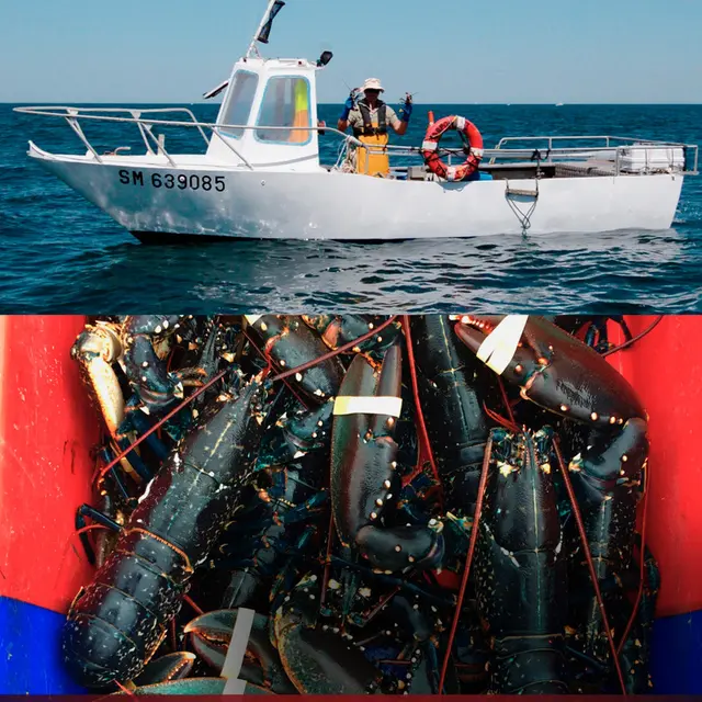 Homard & Co - pêche - Saint-Malo