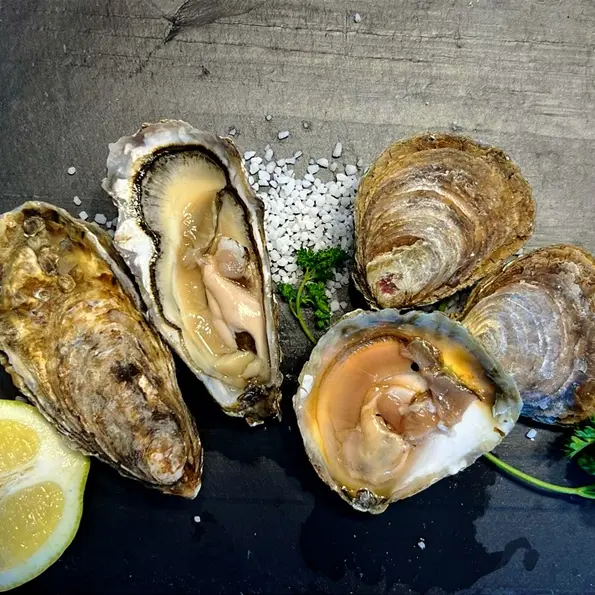 Huîtres Le Chat Lent St Benoît des Ondes