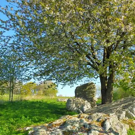 Enquête nature