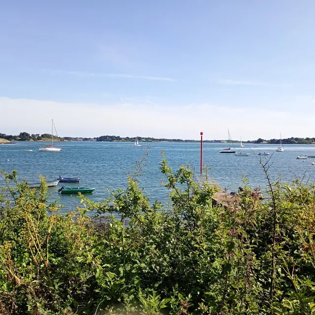 IMG_20240608_171958198_MFNR