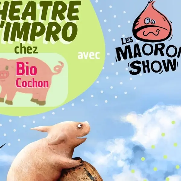 théâtre-improvisation_ferme-pédagogique_labyrinthe_mais_biocochon_Mauron