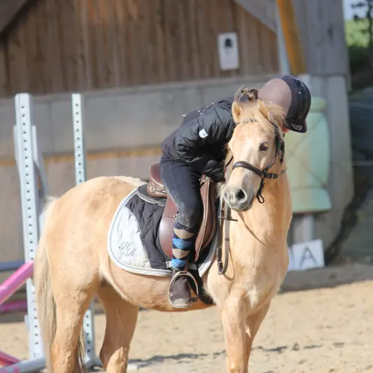Poney - Le Bois Gerard - Centre equestre