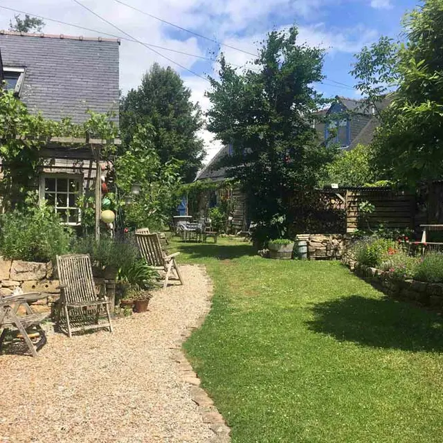 Le Petit Poisson Vert