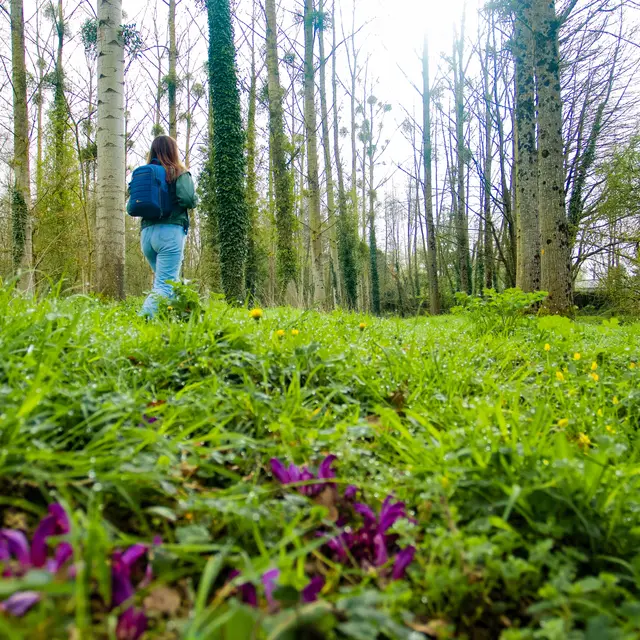 Vallée de la Vaunoise