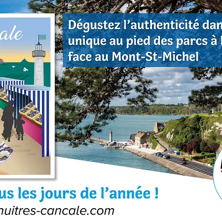 Marché - Marché aux huîtres - Cancale