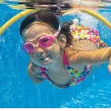 LES DAUPHINS BRIACINS ST BRIAC SUR MER (1)