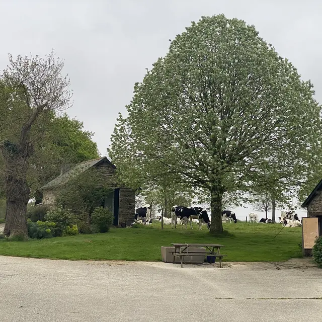 La Boulangerie - Saint-Senoux