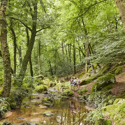 La Chapelle-Neuve_circuit du Goyerdon Vallée du Blavet randonnée_@A. Lamoureux