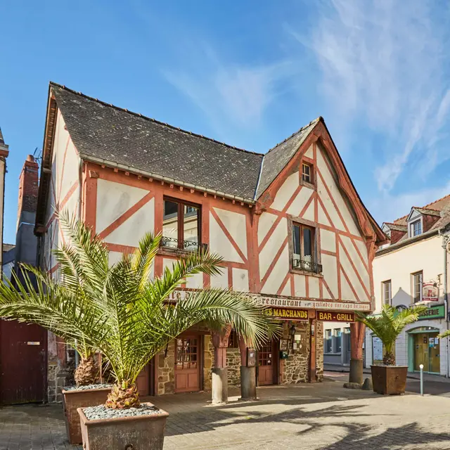 La Guerche-de-Bretagne