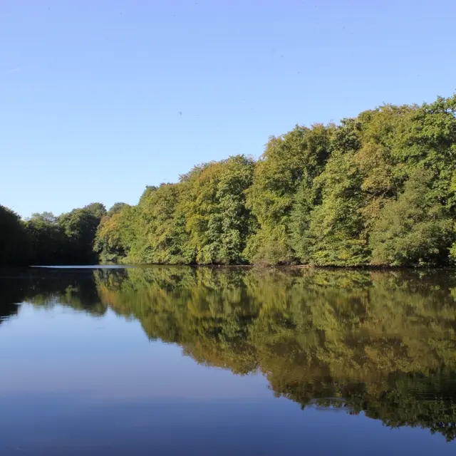 La Higourdais - Epiniac (10)