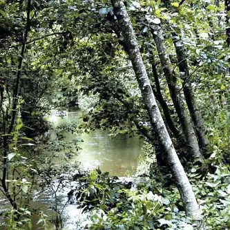 La Vallée du Couesnon