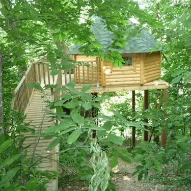 La cabane aux écureuils