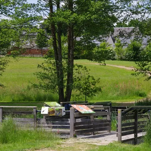 La passerelle du Jardin de l'eau