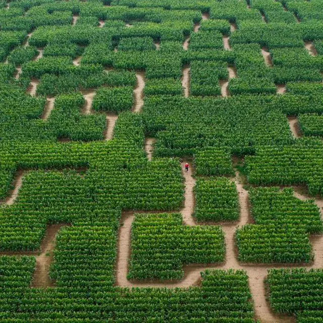 Pop Corn Labyrinthe Rennes