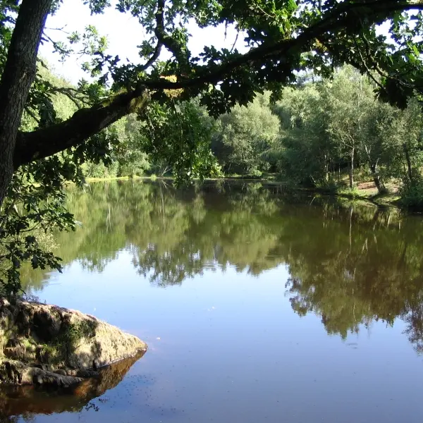 Le Miroir aux fées - val sans retour