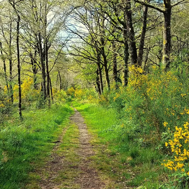 Le Sentier des Fées - Crédit KB