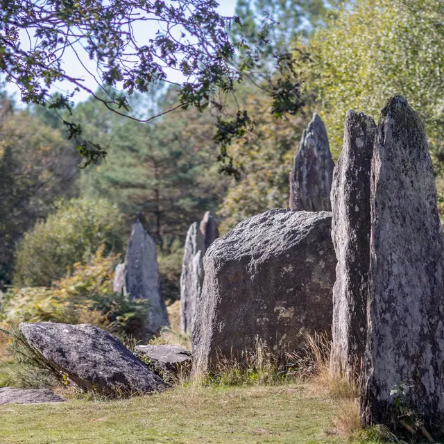 Le-neo-dans-tous-les-sens--NoellaPennanech---Destination-Broceliande-2