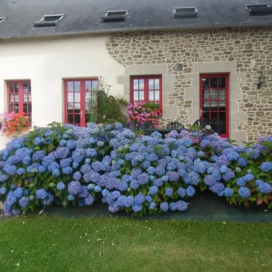 Gîte-Coudrayes-Bonnemain