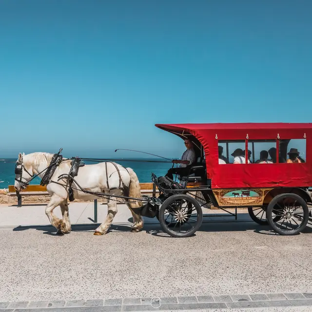 Les Chevaux de la mer
