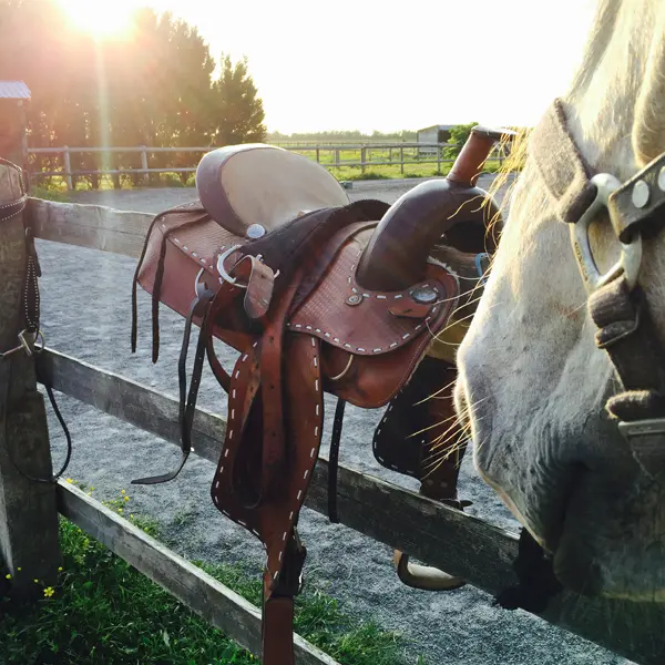 Les Crinières de la Baie