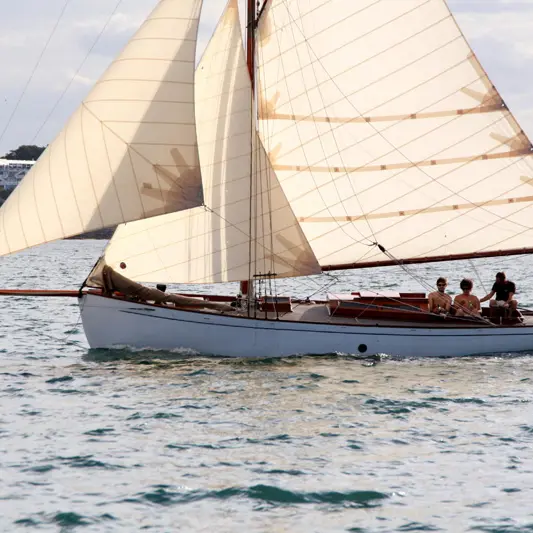 Les amis de Wilful - Saint-Malo