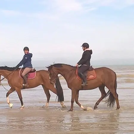 Les Écuries de la Mancelière