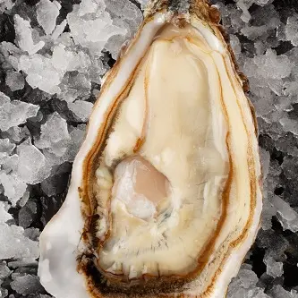 Les Parcs saint kerber 1