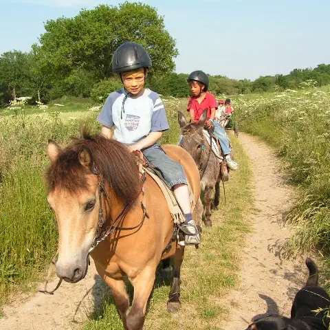 Les poneys de la Jouv'
