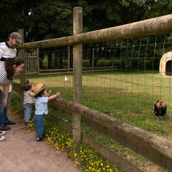 Little Parc - Tremblay - Famille face au poulailler