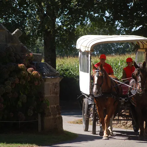 Loi-Redene-AttelageArManer-1