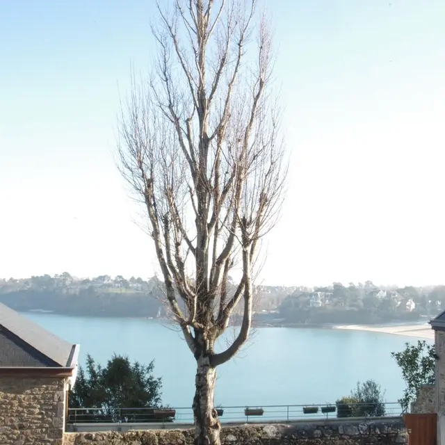 Madame-Grudet-Dinard-vue