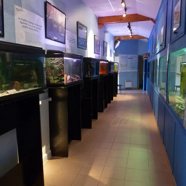 Maison de l'eau et de la pêche - Malestroit - Morbihan