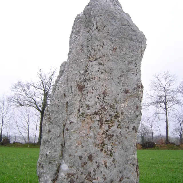 Menhir de la Pierre Blanche Pocé-les-Bois