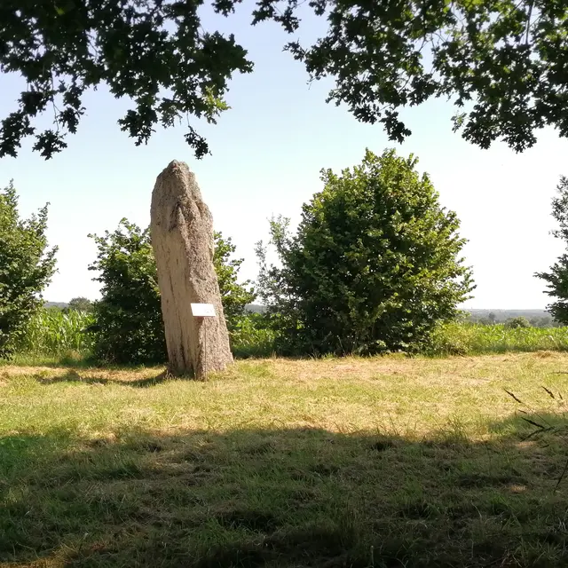 Menhir de la Pierre Longue Iffendic