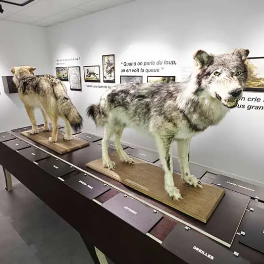 Musée du Loup