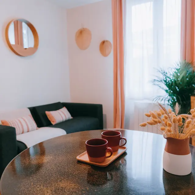 Vue espae canapé appartement 3 Solférino