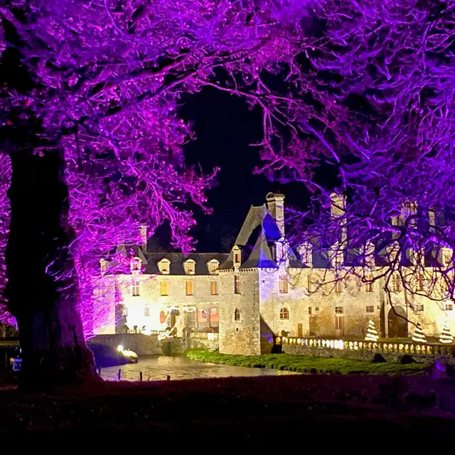 Rocher Portail, la Nouvelle Ecole des Sorciers - Noël et son bal