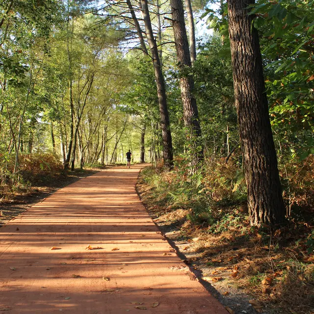 Sentier Lac de Trémelin