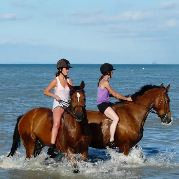 Nouvelle image2 (Custom)