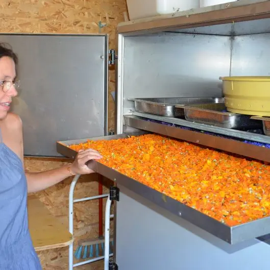 Table de l'Amante verte - Sixt sur Aff