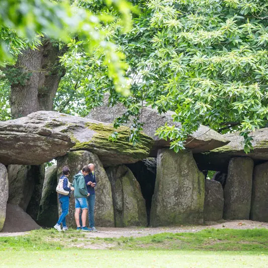 Maison de la Roche aux Fées à Essé
