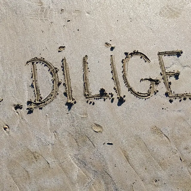 Conciergerie Les Diligences - Saint-Malo