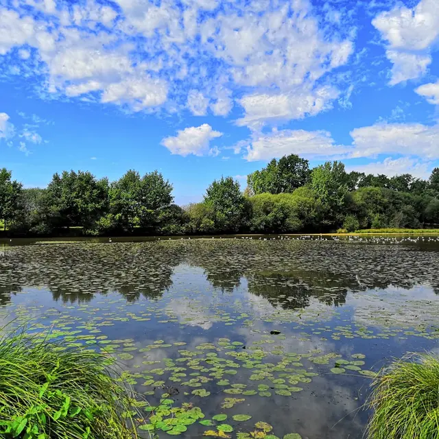 Etang de Blavon Bédée
