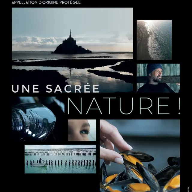 Comité AOP Moules de bouchot de la Baie du Mont-Saint-Michel