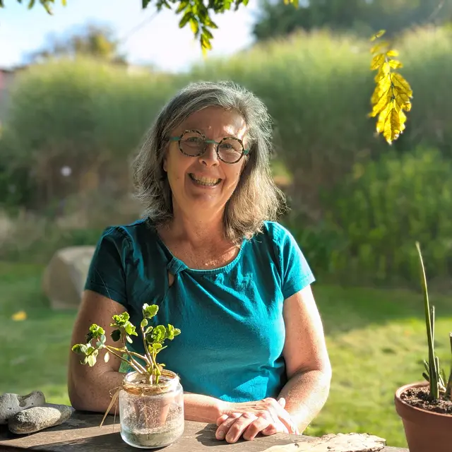 L'assiette dans le jardin